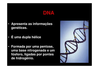 DNA

• Apresenta as informações
  genéticas.

• É uma dupla hélice

• Formada por uma pentose,
  uma base nitrogenada e um
  fósforo, ligadas por pontes
  de hidrogênio.
 