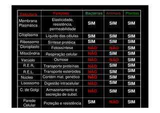 Estrutura          Funções             Bacterias Animais   Plantas
Membrana          Elasticidade,
Plasmática         resistência,         SIM       SIM       SIM
                 permeabilidade
Citoplasma     Líquido das células      SIM       SIM       SIM
Ribossomo       Síntese protéica        SIM       SIM       SIM
Cloroplasto       Fotossíntese          NÃO       NÃO       SIM
Mitocôndria    Respiração celular       NÃO       SIM       SIM
 Vacúolo           Osmose               NÃO       NÃO       SIM
  R.E.R.      Transporte proteínas      NÃO       SIM       SIM
  R.E.L.      Transporte esteróides     NÃO       SIM       SIM
 Núcleo       Contém mat. genético      NÃO       SIM       SIM
 Lisossomo    Digestão intracelular     NÃO       SIM       SIM
C. de Golgi    Armazenamento e          NÃO       SIM       SIM
               secreção de subst.
  Parede                                SIM       NÃO       SIM
              Proteção e resistência
  Celular
 