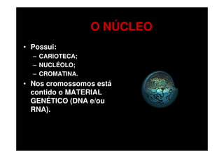 O NÚCLEO
• Possui:
  – CARIOTECA;
  – NUCLÉOLO;
  – CROMATINA.
• Nos cromossomos está
  contido o MATERIAL
  GENÉTICO (DNA e/ou
  RNA).
 