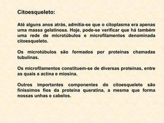 Citoesqueleto: Até alguns anos atrás, admitia-se que o citoplasma era apenas uma massa gelatinosa. Hoje, pode-se verificar que há também uma rede de microtúbulos e microfilamentos denominada citoesqueleto. Os microtúbulos são formados por proteínas chamadas tubulinas.  Os microfilamentos constituem-se de diversas proteínas, entre as quais a actina e miosina.  Outros importantes componentes do citoesqueleto são finíssimos fios da proteína queratina, a mesma que forma nossas unhas e cabelos. 