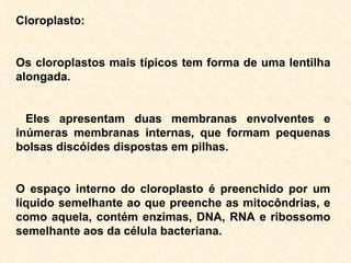 Cloroplasto: Os cloroplastos mais típicos tem forma de uma lentilha alongada . Eles apresentam duas membranas envolventes e inúmeras membranas internas, que formam pequenas bolsas discóides dispostas em pilhas. O espaço interno do cloroplasto é preenchido por um líquido semelhante ao que preenche as mitocôndrias, e como aquela, contém enzimas, DNA, RNA e ribossomo semelhante aos da célula bacteriana. 