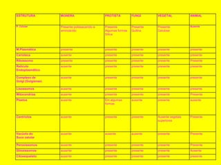 ESTRUTURA MONERA PROTISTA FUNGI VEGETAL ANIMAL
P. Celular Presente polissacarídio e
aminoácido
Presente
Algumas formas
Sílica
Presente
Quitina
Presente
Celulose
Ausente
M.Plasmática presente presente presente presente presente
Carioteca ausente presente presente presente presente
Ribossomo presente presente presente presente Presente
Retículo
Endoplasmático
ausente presente presente presente presente
Complexo de
Golgi (Golgiense)
ausente presente presente presente presente
Lisossomos ausente presente presente presente presente
Mitocondrias ausente presente presente presente Presente
Plastos ausente Em algumas
formas
ausente presente ausente
Centríolos ausente presente presente Ausente vegetais
superiores
Presente
Vacúolo do
Suco celular
ausente ausente ausente presente Presente
Peroxissomos ausente presente presente presente Presente
Glioxissomos ausente presente presente presente Ausente
Citoesqueleto ausente presente presente presente presente
 