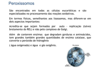 Peroxissomos
São encontrados em todas as células eucarióticas e são
especializados no processamento das reações oxidativas.
Em termos físicos, semelhantes aos lisossomos, mas diferem-se em
dois aspectos importantes:
Acredita-se que sejam formados por auto – replicação (talvez
brotamento do REL) e não pelo complexo de Golgi.
Além de conterem enzimas que degradam gorduras e aminoácidos,
tem grandes também grandes quantidades de enzima catalase, que
converte o peróxido de hidrogênio
( água oxigenada) e água e gás oxigênio.
 