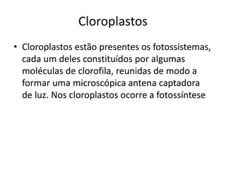 Cloroplastos
• Cloroplastos estão presentes os fotossistemas,
cada um deles constituídos por algumas
moléculas de clorofila, reunidas de modo a
formar uma microscópica antena captadora
de luz. Nos cloroplastos ocorre a fotossíntese
 
