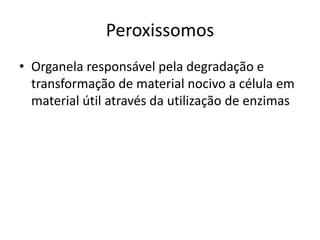 Peroxissomos
• Organela responsável pela degradação e
transformação de material nocivo a célula em
material útil através da utilização de enzimas
 