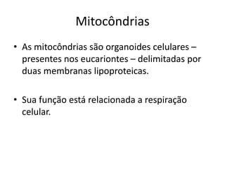 Mitocôndrias
• As mitocôndrias são organoides celulares –
presentes nos eucariontes – delimitadas por
duas membranas lipoproteicas.
• Sua função está relacionada a respiração
celular.
 