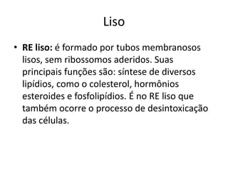 Liso
• RE liso: é formado por tubos membranosos
lisos, sem ribossomos aderidos. Suas
principais funções são: síntese de diversos
lipídios, como o colesterol, hormônios
esteroides e fosfolipídios. É no RE liso que
também ocorre o processo de desintoxicação
das células.
 