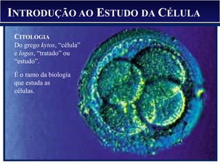 INTRODUÇÃO AO ESTUDO DA CÉLULA
É o ramo da biologia
que estuda as
células.
CITOLOGIA
Do grego kytos, “célula”
e logos, “tratado” ou
“estudo”.
 