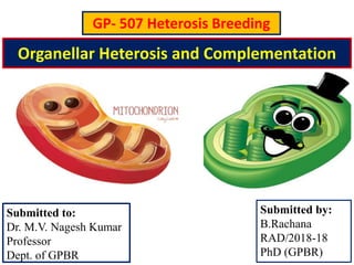 Organellar Heterosis and Complementation
Submitted by:
B.Rachana
RAD/2018-18
PhD (GPBR)
Submitted to:
Dr. M.V. Nagesh Kumar
Professor
Dept. of GPBR
GP- 507 Heterosis Breeding
 