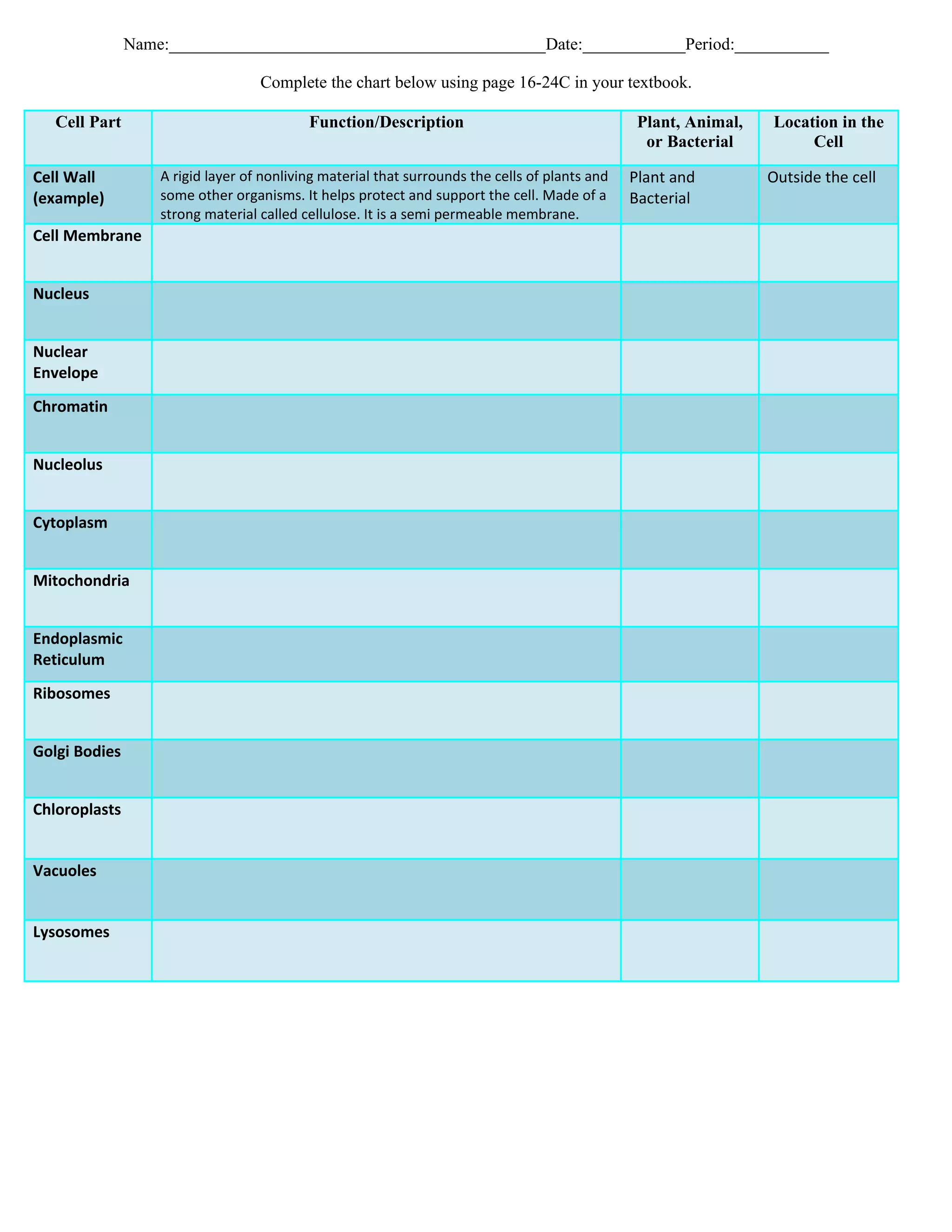 Organelle Chart DOC