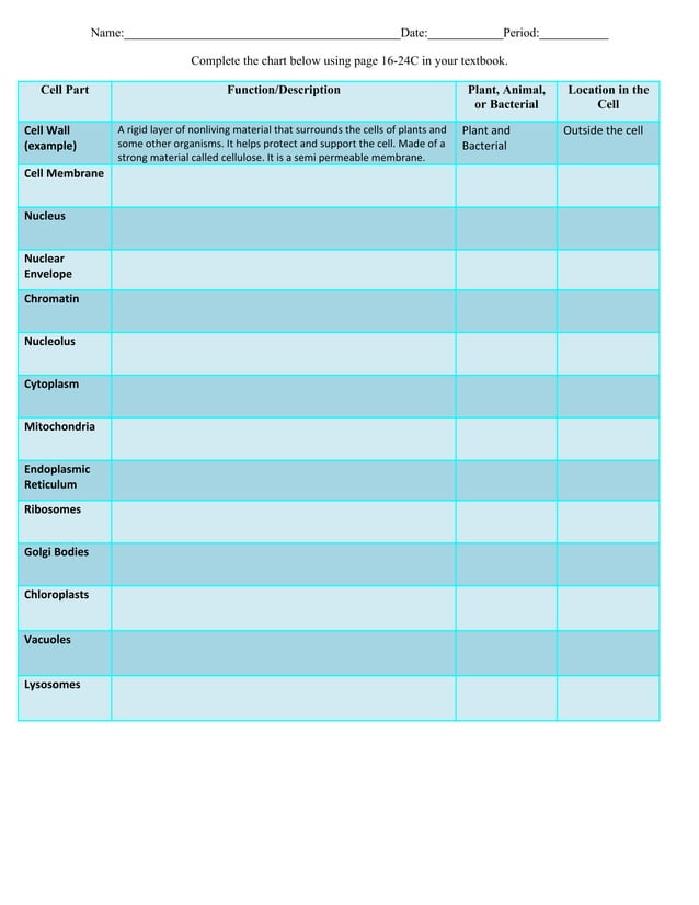 Organelle Chart | PDF