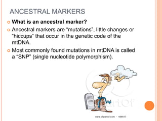 ANCESTRAL MARKERS
 What is an ancestral marker?
 Ancestral markers are “mutations”, little changes or
“hiccups” that occur in the genetic code of the
mtDNA.
 Most commonly found mutations in mtDNA is called
a “SNP” (single nucleotide polymorphism).
 