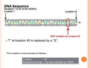  T” at location 40 is replaced by a “G”.
This mutation is documented as follows:
Location : 40
Nucleotide Change: T>g (also indicated as T40G)
 