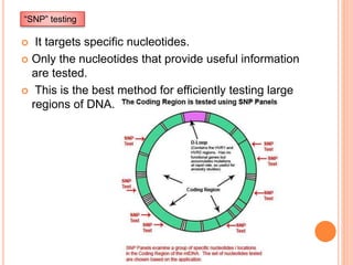  It targets specific nucleotides.
 Only the nucleotides that provide useful information
are tested.
 This is the best method for efficiently testing large
regions of DNA.
“SNP” testing
 