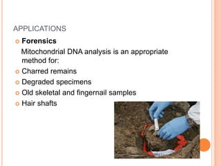 APPLICATIONS
 Forensics
Mitochondrial DNA analysis is an appropriate
method for:
 Charred remains
 Degraded specimens
 Old skeletal and fingernail samples
 Hair shafts
 