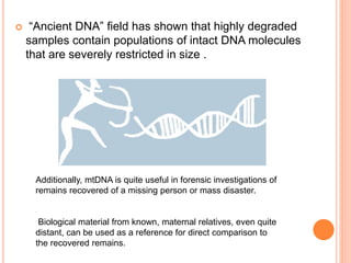  “Ancient DNA” field has shown that highly degraded
samples contain populations of intact DNA molecules
that are severely restricted in size .
Additionally, mtDNA is quite useful in forensic investigations of
remains recovered of a missing person or mass disaster.
Biological material from known, maternal relatives, even quite
distant, can be used as a reference for direct comparison to
the recovered remains.
 