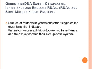 GENES IN MTDNA EXHIBIT CYTOPLASMIC
INHERITANCE AND ENCODE RRNAS, TRNAS, AND
SOME MITOCHONDRIAL PROTEINS
 Studies of mutants in yeasts and other single-celled
organisms first indicated
that mitochondria exhibit cytoplasmic inheritance
and thus must contain their own genetic system.
 