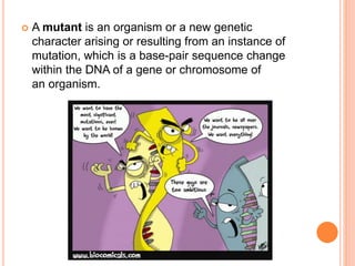  A mutant is an organism or a new genetic
character arising or resulting from an instance of
mutation, which is a base-pair sequence change
within the DNA of a gene or chromosome of
an organism.
 