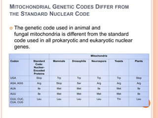MITOCHONDRIAL GENETIC CODES DIFFER FROM
THE STANDARD NUCLEAR CODE
 The genetic code used in animal and
fungal mitochondria is different from the standard
code used in all prokaryotic and eukaryotic nuclear
genes.
Mitochondria
Codon Standard
Code:
Nuclear-
Encoded
Proteins
Mammals Drosophila Neurospora Yeasts Plants
UGA Stop Trp Trp Trp Trp Stop
AGA, AGG Arg Stop Ser Arg Arg Arg
AUA Ile Met Met Ile Met Ile
AUU Ile Met Met Met Met Ile
CUU, CUC,
CUA, CUG
Leu Leu Leu Leu Thr Leu
 