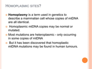 HOMOPLASMIC SITES?
 Homoplasmy is a term used in genetics to
describe a mammalian cell whose copies of mtDNA
are all identical.
 Homoplasmic mtDNA copies may be normal or
mutated.
 Most mutations are heteroplasmic - only occurring
in some copies of mtDNA
 But it has been discovered that homoplastic
mtDNA mutations may be found in human tumours.
 