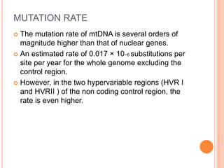 MUTATION RATE
 The mutation rate of mtDNA is several orders of
magnitude higher than that of nuclear genes.
 An estimated rate of 0.017 × 10−6 substitutions per
site per year for the whole genome excluding the
control region.
 However, in the two hypervariable regions (HVR I
and HVRII ) of the non coding control region, the
rate is even higher.
 