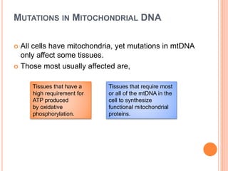 MUTATIONS IN MITOCHONDRIAL DNA
 All cells have mitochondria, yet mutations in mtDNA
only affect some tissues.
 Those most usually affected are,
Tissues that have a
high requirement for
ATP produced
by oxidative
phosphorylation.
Tissues that require most
or all of the mtDNA in the
cell to synthesize
functional mitochondrial
proteins.
 