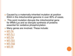  Caused by a maternally-inherited mutation at position
8344 in the mitochondrial genome in over 80% of cases.
 This point mutation disrupts the mitochondrial gene
for tRNA-Lys and so disrupts synthesis of proteins
essential for oxidative phosphorylation.
 Many genes are involved. These include:
 MT-TK
 MT-TL1
 MT-TH
 MT-TS1
 MT-TS2
 MT-TF
 