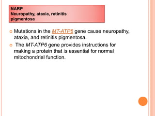  Mutations in the MT-ATP6 gene cause neuropathy,
ataxia, and retinitis pigmentosa.
 The MT-ATP6 gene provides instructions for
making a protein that is essential for normal
mitochondrial function.
NARP
Neuropathy, ataxia, retinitis
pigmentosa
 