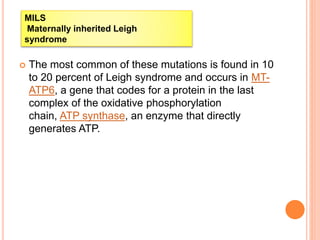  The most common of these mutations is found in 10
to 20 percent of Leigh syndrome and occurs in MT-
ATP6, a gene that codes for a protein in the last
complex of the oxidative phosphorylation
chain, ATP synthase, an enzyme that directly
generates ATP.
MILS
Maternally inherited Leigh
syndrome
 
