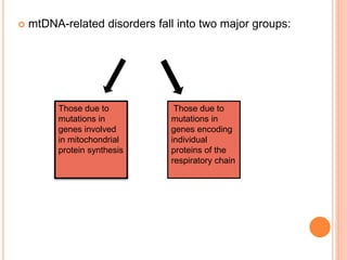  mtDNA-related disorders fall into two major groups:
Those due to
mutations in
genes involved
in mitochondrial
protein synthesis
Those due to
mutations in
genes encoding
individual
proteins of the
respiratory chain
 