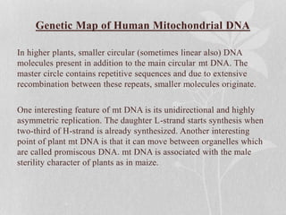 Genetic Map of Human Mitochondrial DNA
In higher plants, smaller circular (sometimes linear also) DNA
molecules present in addition to the main circular mt DNA. The
master circle contains repetitive sequences and due to extensive
recombination between these repeats, smaller molecules originate.
One interesting feature of mt DNA is its unidirectional and highly
asymmetric replication. The daughter L-strand starts synthesis when
two-third of H-strand is already synthesized. Another interesting
point of plant mt DNA is that it can move between organelles which
are called promiscous DNA. mt DNA is associated with the male
sterility character of plants as in maize.
 