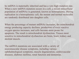 he mtDNA is maternally inherited and has a very high mutation rate.
When a new mtDNA mutation occurs in a cell, a mixed intracellular
population of mtDNAs is generated, known as heteroplasmy. During
replication in a heteroplasmic cell, the mutant and normal molecules
are randomly distributed into daughter cells.
When the percentage of mutant mtDNAs increases, the mitochondrial
energy producing capacity declines, production of toxic reactive
oxygen species increases, and cells become more prone for
apoptosis. The result is mitochondrial dysfunction. Tissues most
sensitive to mitochondrial dysfunction are brain, heart, kidney and
skeletal muscle.
The mtDNA mutations are associated with a variety of
neuromuscular disease symptoms, including various
ophthalmological symptoms, muscle degeneration, cardiovascular
diseases, diabetes mellitus, renal function and dementias.
 