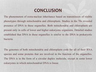 CONCLUSION
The phenomenon of extra-nuclear inheritance based on transmission of visible
phenotypes through mitochondria and chloroplasts. Studies in the 70s revealed
presence of DNA in these organelles. Both mitochondria and chloroplasts are
present only in cells of lower and higher eukaryotic organisms. Detailed studies
established that DNA in these organelles is similar to the DNA in prokaryotic
bacteria.
The genomes of both mitochondria and chloroplasts code for all of their RNA
species and some proteins that are involved in the function of the organelles.
The DNA is in the form of a circular duplex molecule, except in some lower
eukaryotes in which mitochondrial DNA is linear.
 