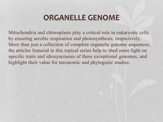 ORGANELLE GENOME
Mitochondria and chloroplasts play a critical role in eukaryotic cells
by ensuring aerobic respiration and photosynthesis, respectively.
More than just a collection of complete organelle genome sequences,
the articles featured in this topical series help to shed some light on
specific traits and idiosyncrasies of these exceptional genomes, and
highlight their value for taxonomic and phylogenic studies.
 