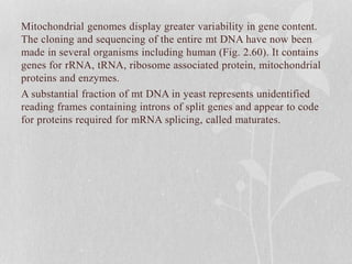Mitochondrial genomes display greater variability in gene content.
The cloning and sequencing of the entire mt DNA have now been
made in several organisms including human (Fig. 2.60). It contains
genes for rRNA, tRNA, ribosome associated protein, mitochondrial
proteins and enzymes.
A substantial fraction of mt DNA in yeast represents unidentified
reading frames containing introns of split genes and appear to code
for proteins required for mRNA splicing, called maturates.
 
