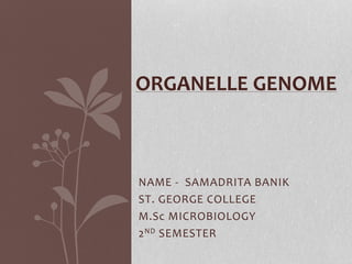 NAME - SAMADRITA BANIK
ST. GEORGE COLLEGE
M.Sc MICROBIOLOGY
2ND SEMESTER
ORGANELLE GENOME
 