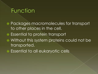 FunctionPackages macromolecules for transport to other places in the cell.Essential to protein transportWithout this system proteins could not be transported.Essential to all eukaryotic cells