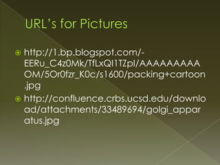 URL’s for Pictureshttp://1.bp.blogspot.com/-EERu_C4z0Mk/TfLxQI1TZpI/AAAAAAAAAOM/5Or0fzr_K0c/s1600/packing+cartoon.jpghttp://confluence.crbs.ucsd.edu/download/attachments/33489694/golgi_apparatus.jpg