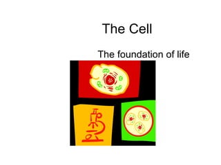 The Cell The foundation of life 
