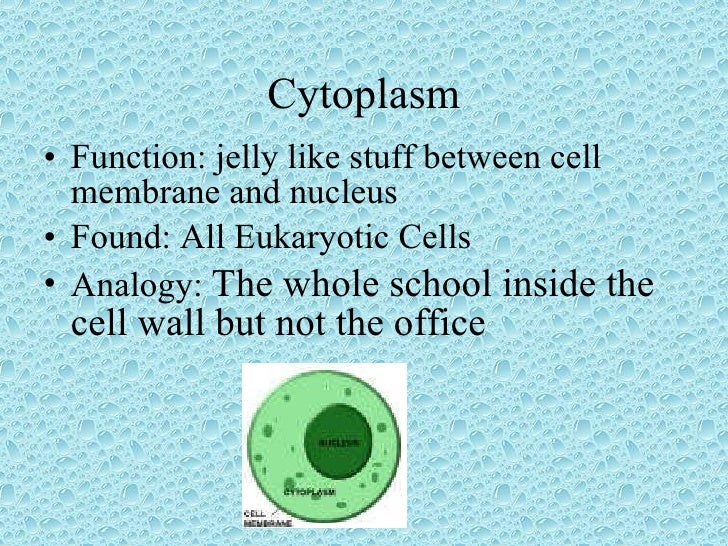 organelles download free