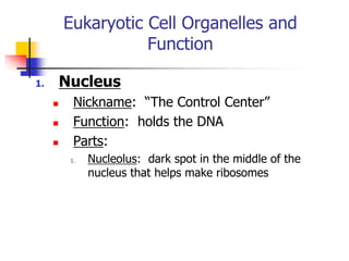 Organelles.ppt