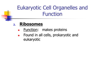 Organelles.ppt