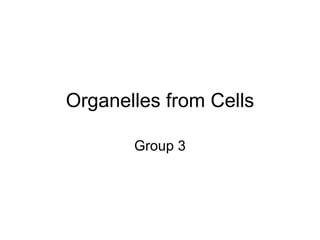 Organelles from Cells Group 3 