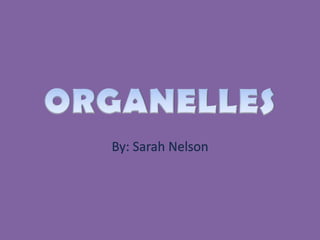 ORGANELLES By: Sarah Nelson 
