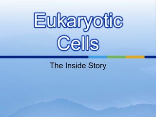 Eukaryotic
  Cells
 The Inside Story
 