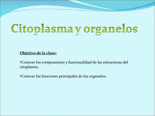 <ul><li>Objetivo de la clase: </li></ul><ul><li>Conocer los componentes y funcionalidad de las estructuras del citoplasma....