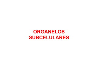 ORGANELOS
SUBCELULARES

 