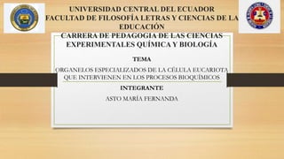 UNIVERSIDAD CENTRAL DEL ECUADOR
FACULTAD DE FILOSOFÍA LETRAS Y CIENCIAS DE LA
EDUCACIÓN
CARRERA DE PEDAGOGIA DE LAS CIENCIAS
EXPERIMENTALES QUÍMICA Y BIOLOGÍA
TEMA
ORGANELOS ESPECIALIZADOS DE LA CÉLULA EUCARIOTA
QUE INTERVIENEN EN LOS PROCESOS BIOQUÍMICOS
INTEGRANTE
ASTO MARÍA FERNANDA
 