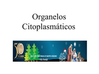 Organelos Citoplasmáticos   