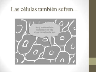 Las células también sufren…
 